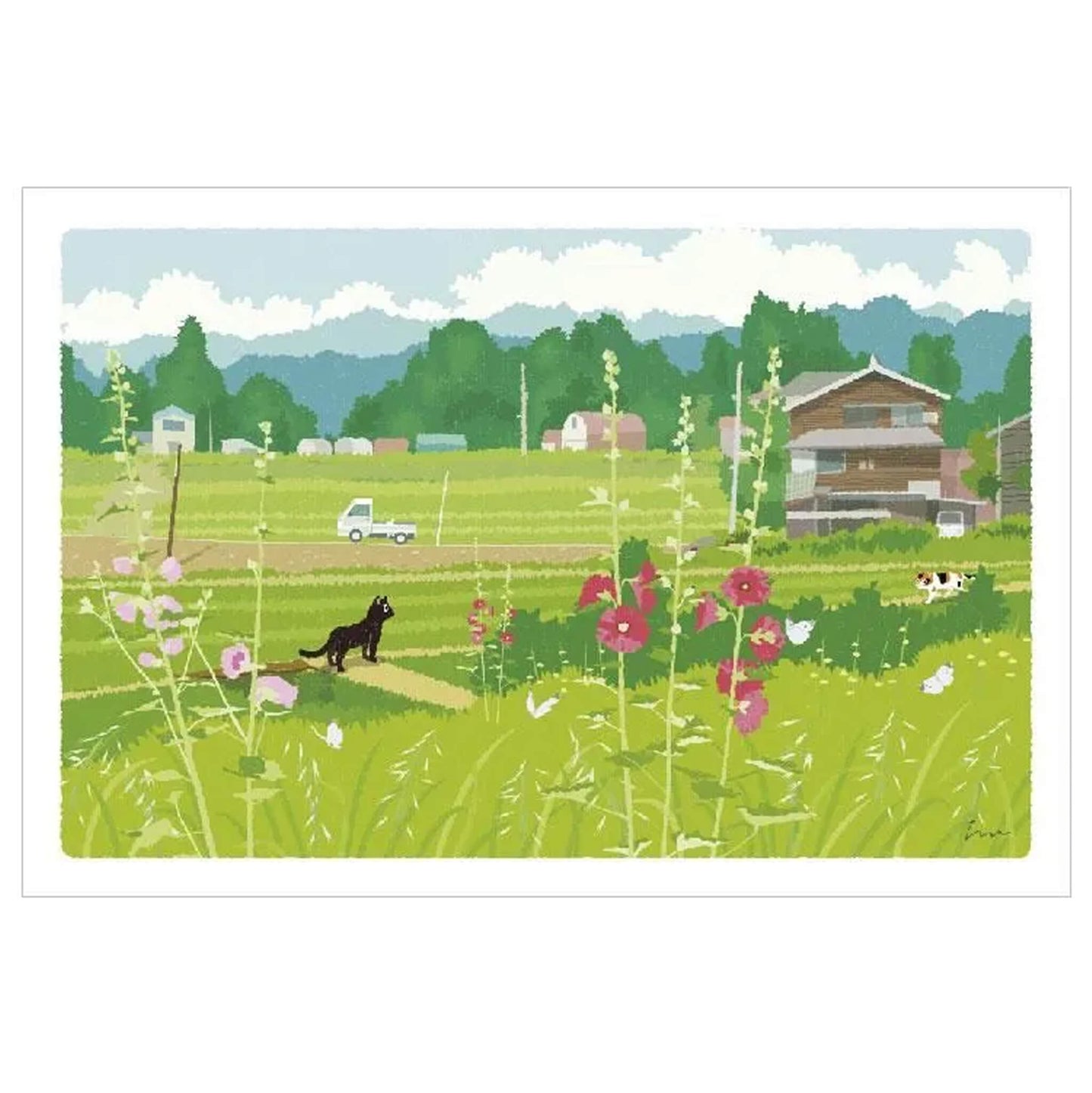 Active Corporation × Toshinori Mori Tabineko Summer Postcard - Early Summer Light