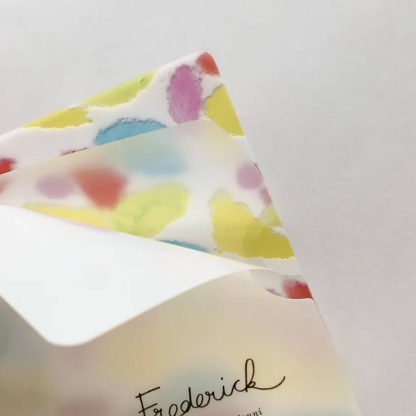 Cozyca A4 Clear File - Frederick