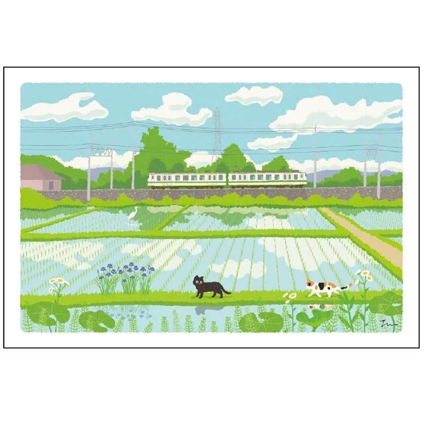 Active Corporation × Toshinori Mori Tabineko Summer Postcard - Rice Field