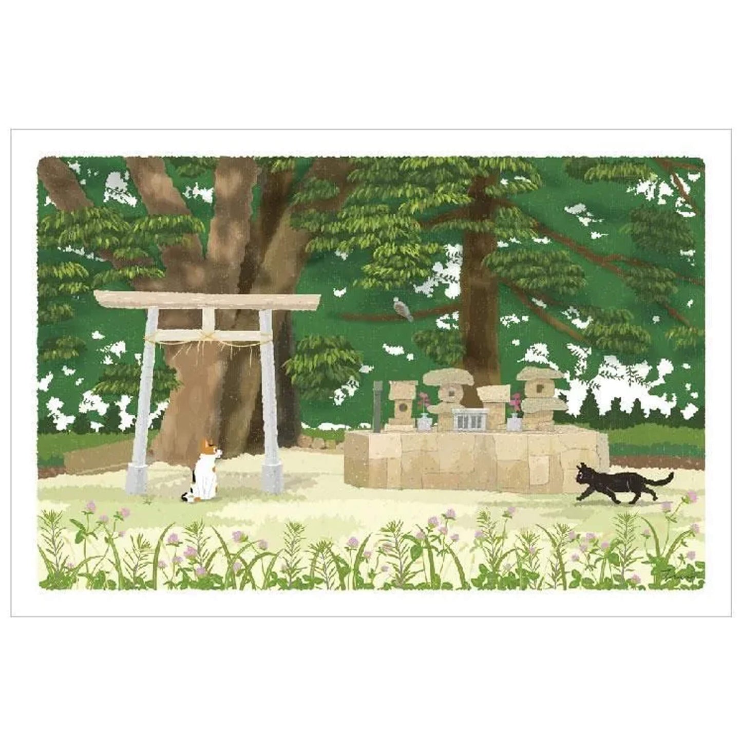 Active Corporation × Toshinori Mori Tabineko Summer Postcard - The Meeting Place