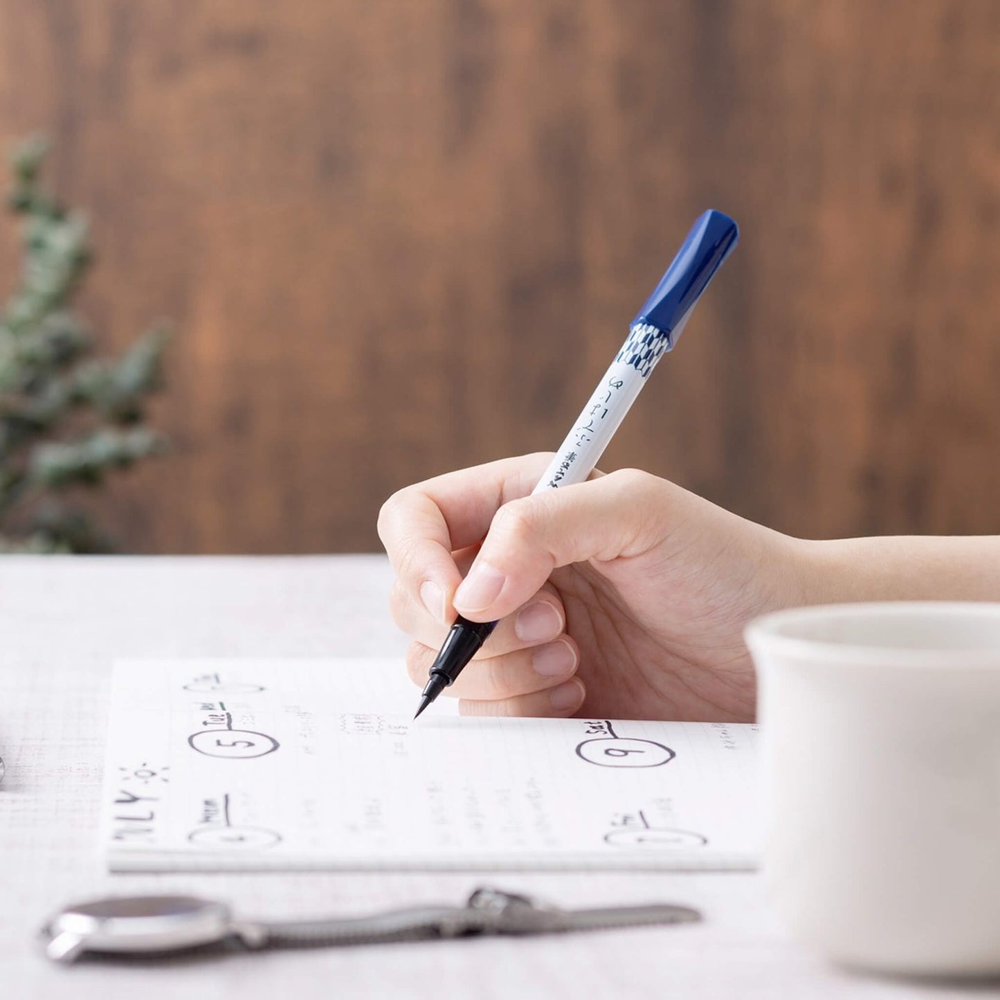 Pentel Fudehajime Brush Pen for Beginners