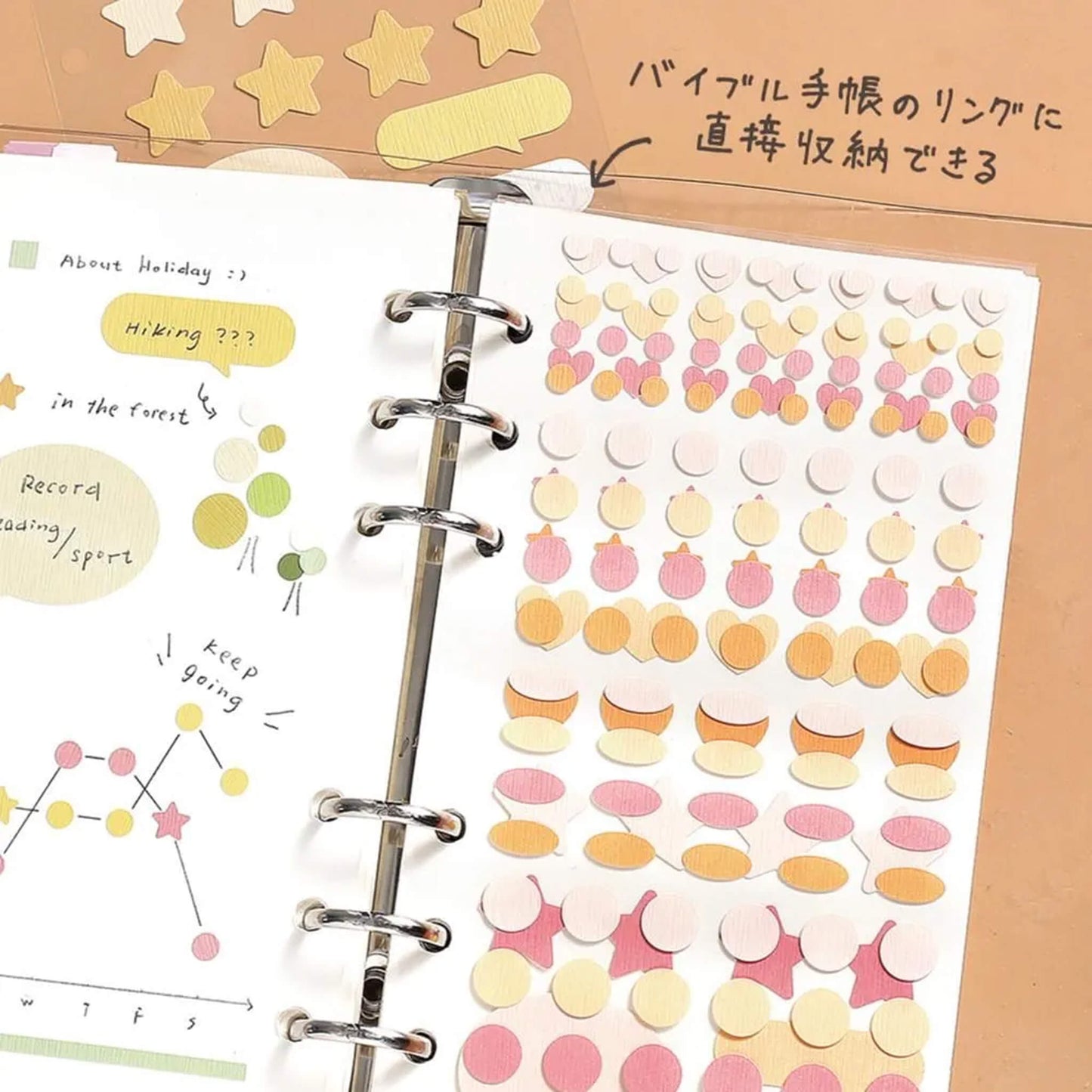 BGM Daily Palette Sticker Set - Raspberry - Sticker Sheets