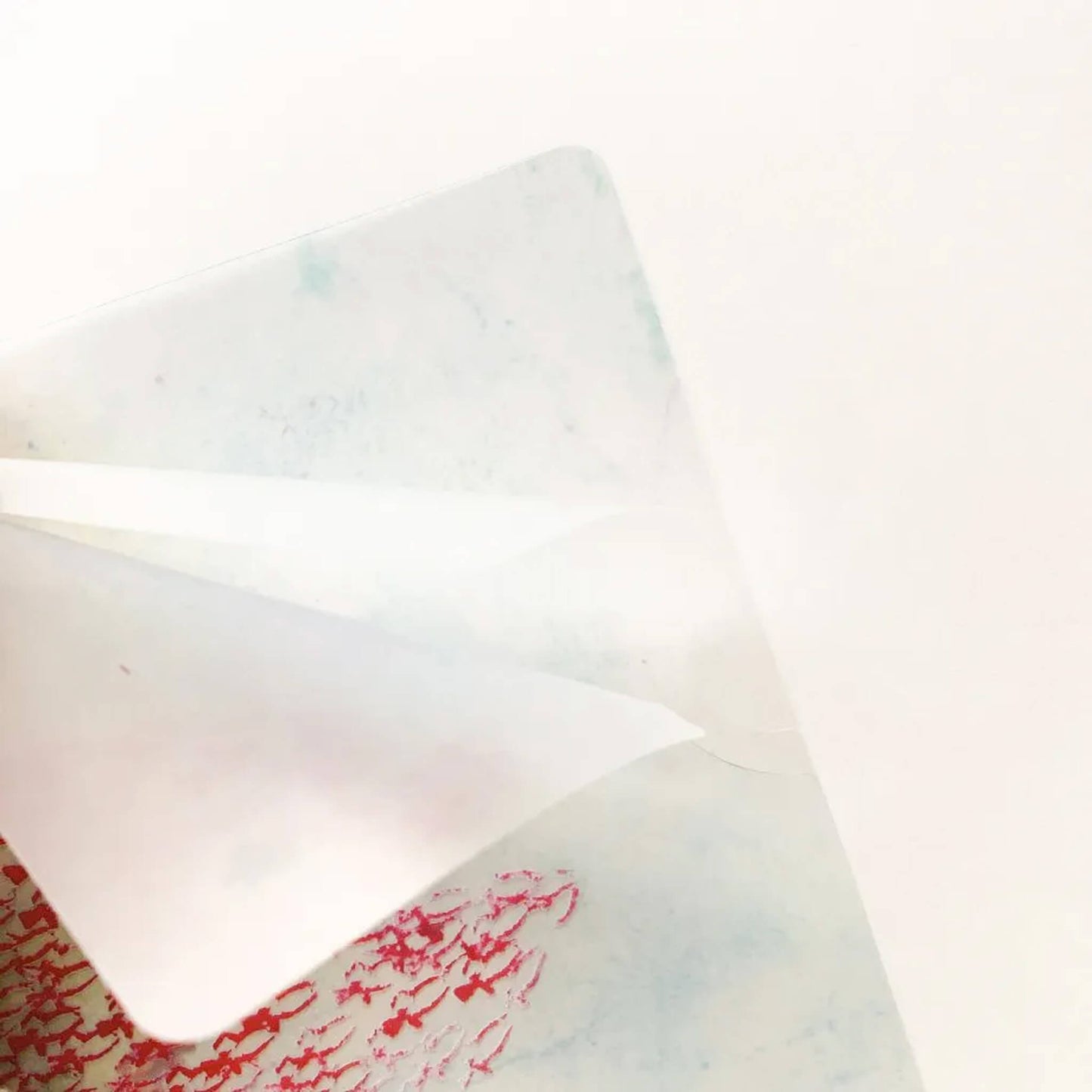 Cozyca A4 Clear File - Swimmy - File Folders