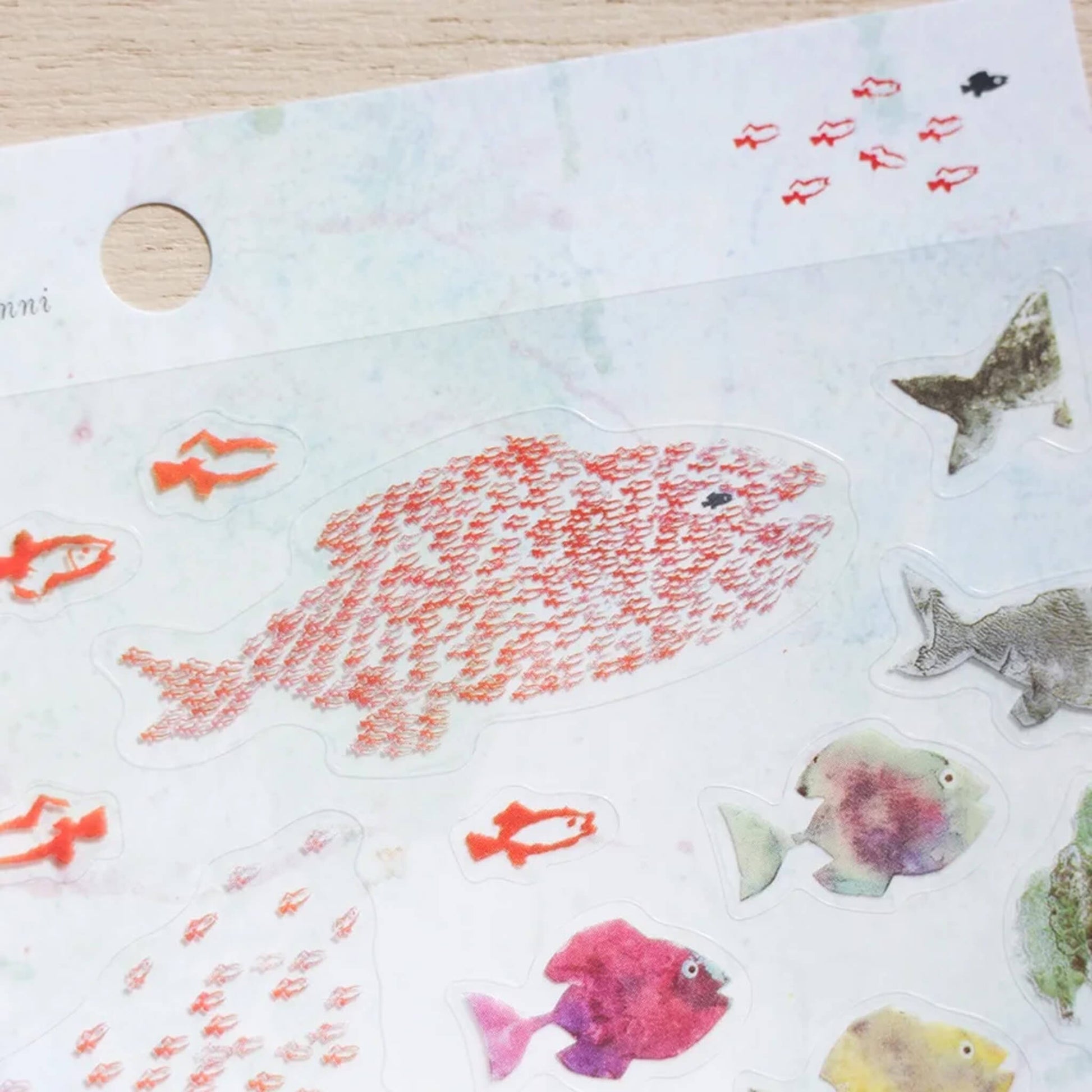 Cozyca Sticker Seal - Swimmy - Sticker Sheets