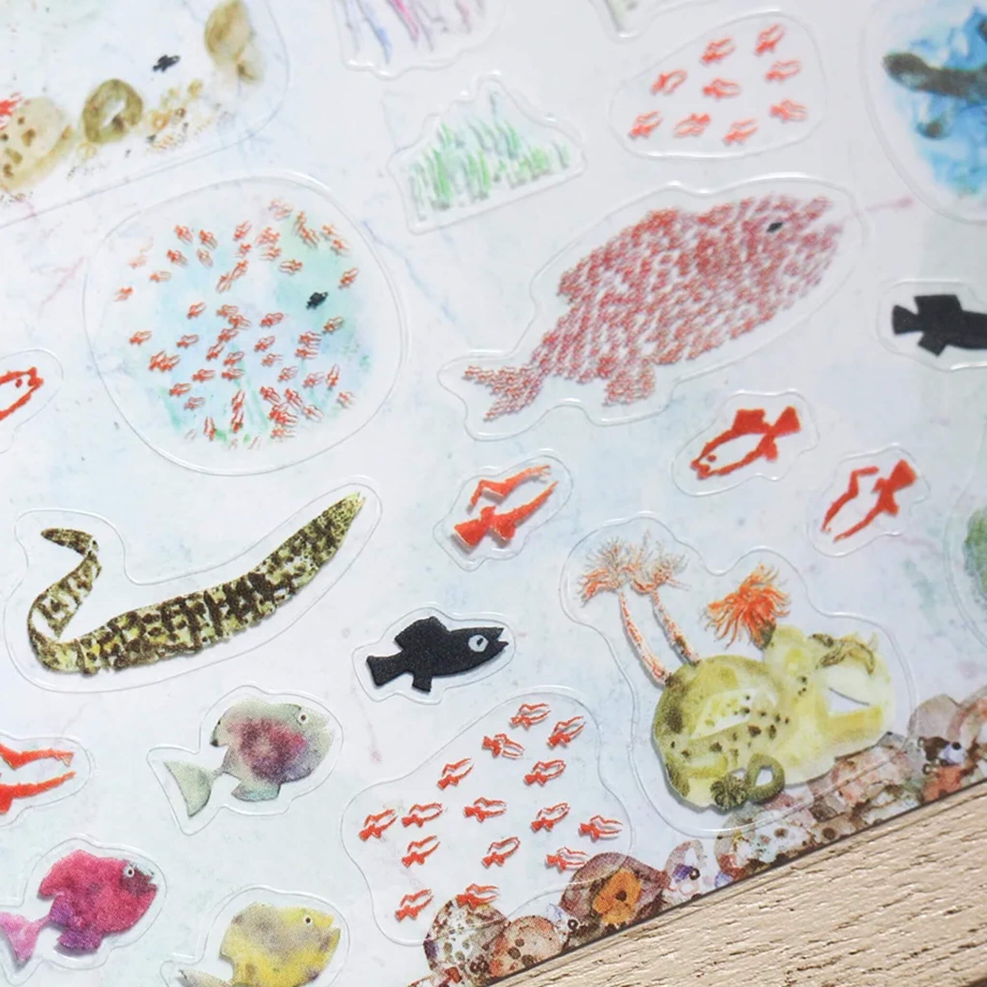 Cozyca Sticker Seal - Swimmy - Sticker Sheets