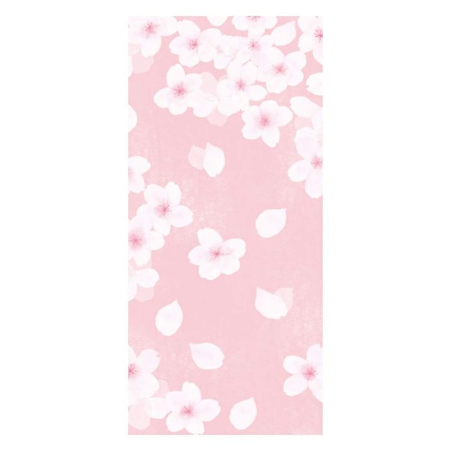 Furukawa Shiko “Today’s Letter” Letter Set - Breezy Sakura - Wa - Life Spring 2026 Limited - Letter Writing Sets