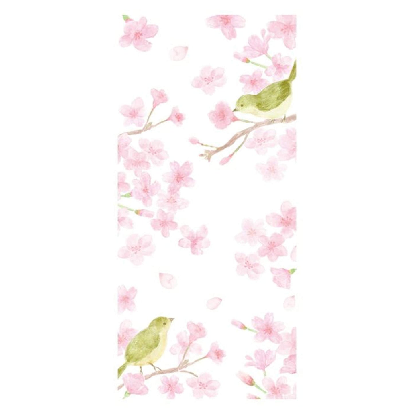 Furukawa Shiko “Today’s Letter” Letter Set - Sakura & Uguisu - Wa - Life Spring 2026 Limited - Letter Writing Sets