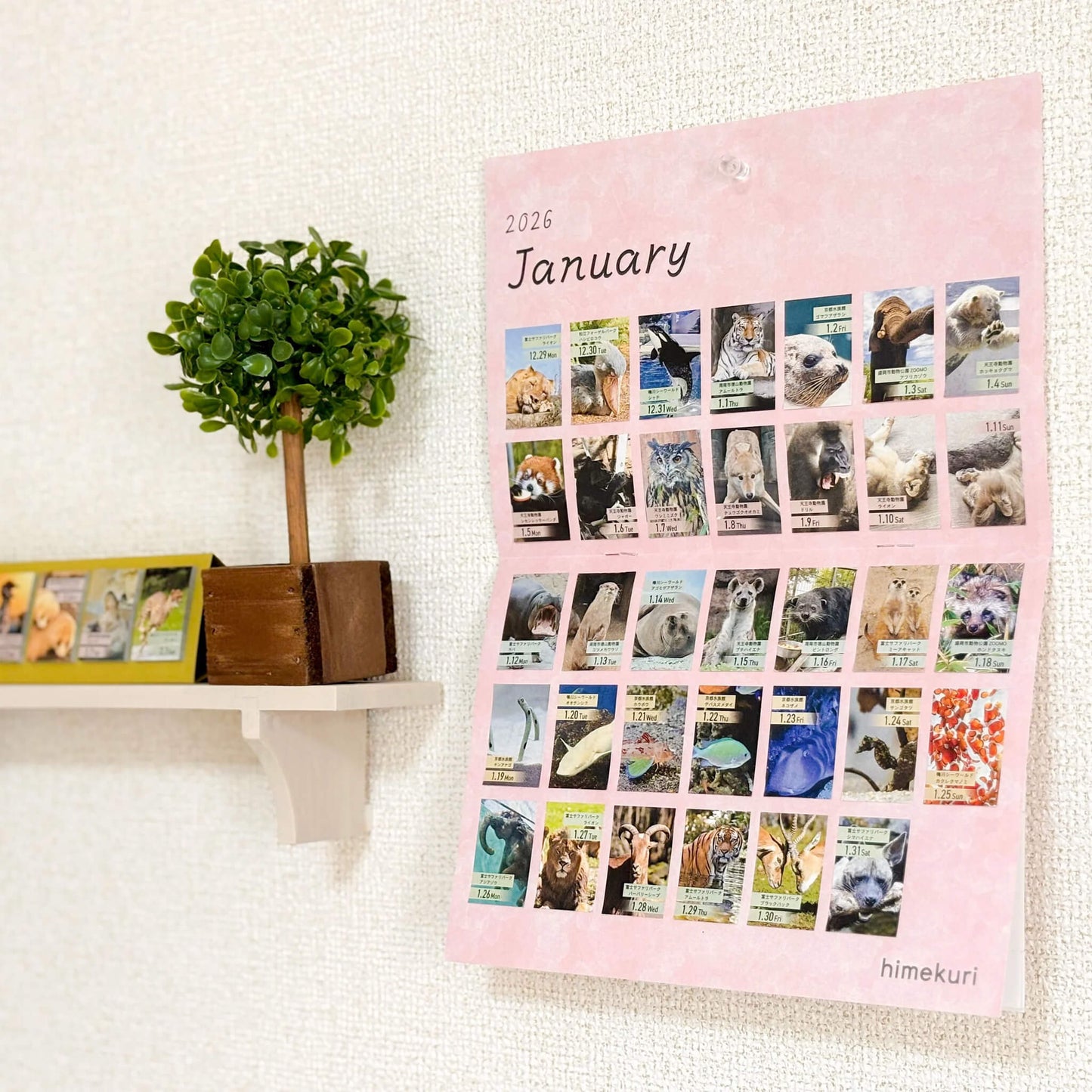 Himekuri 2026 Daily Sticky Calendar - Mini Wall Calendar Mount - 2026 Calendars