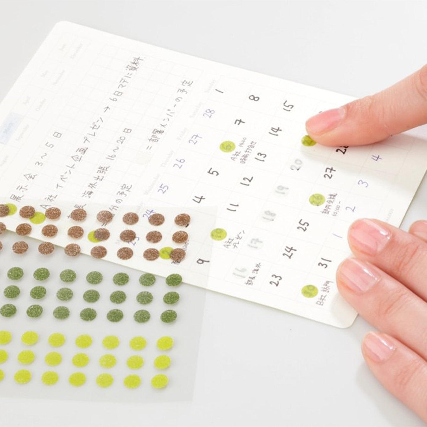 STÁLOGY Circular Masking Patches - Tree - 5mm - Sticker Sheets
