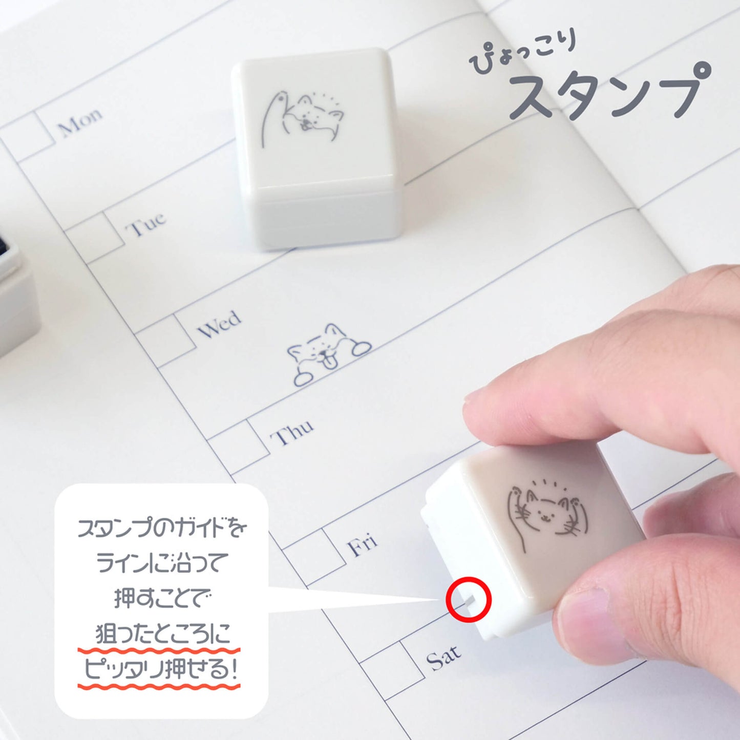 Sun - Star Pyokkori Stamp Set Otter - Pre - inked Stamps
