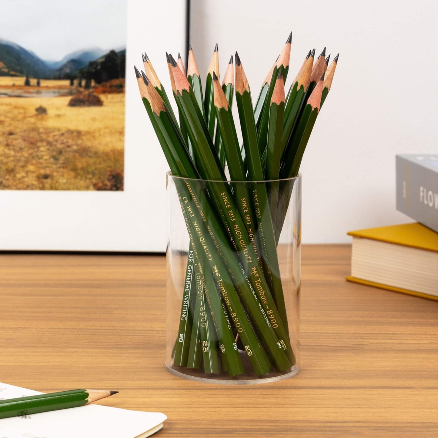 Tombow 8900 Wooden Pencil Pack of 12 - HB - Wooden Pencils