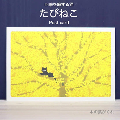 Active Corporation × Toshinori Mori Tabineko Autumn Postcard - Hidden Among the Leaves