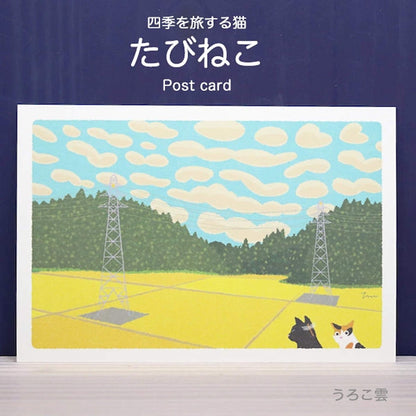 Active Corporation × Toshinori Mori Tabineko Autumn Postcard - Mackerel Sky