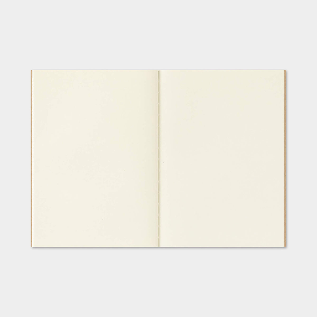 TRAVELER'S notebook 2027 - Monthly Refill - Passport Size