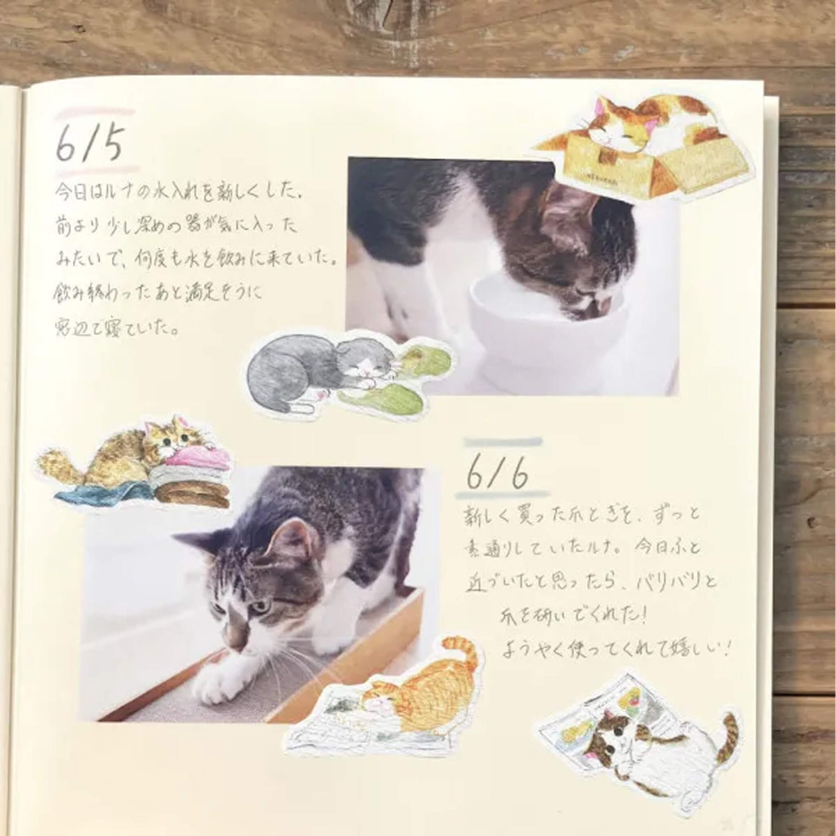 NB Nekorobi Flake Stickers - Neko Aru Aru