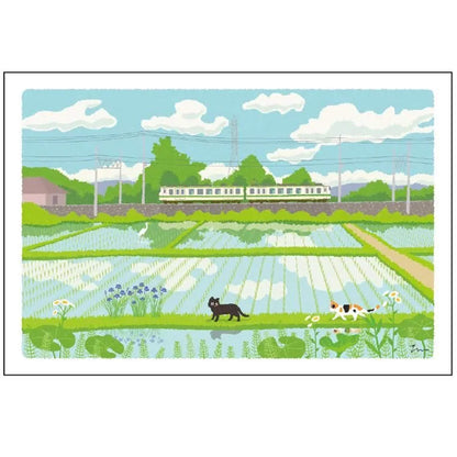 Active Corporation × Toshinori Mori Tabineko Summer Postcard - Rice Field [Vykort]
