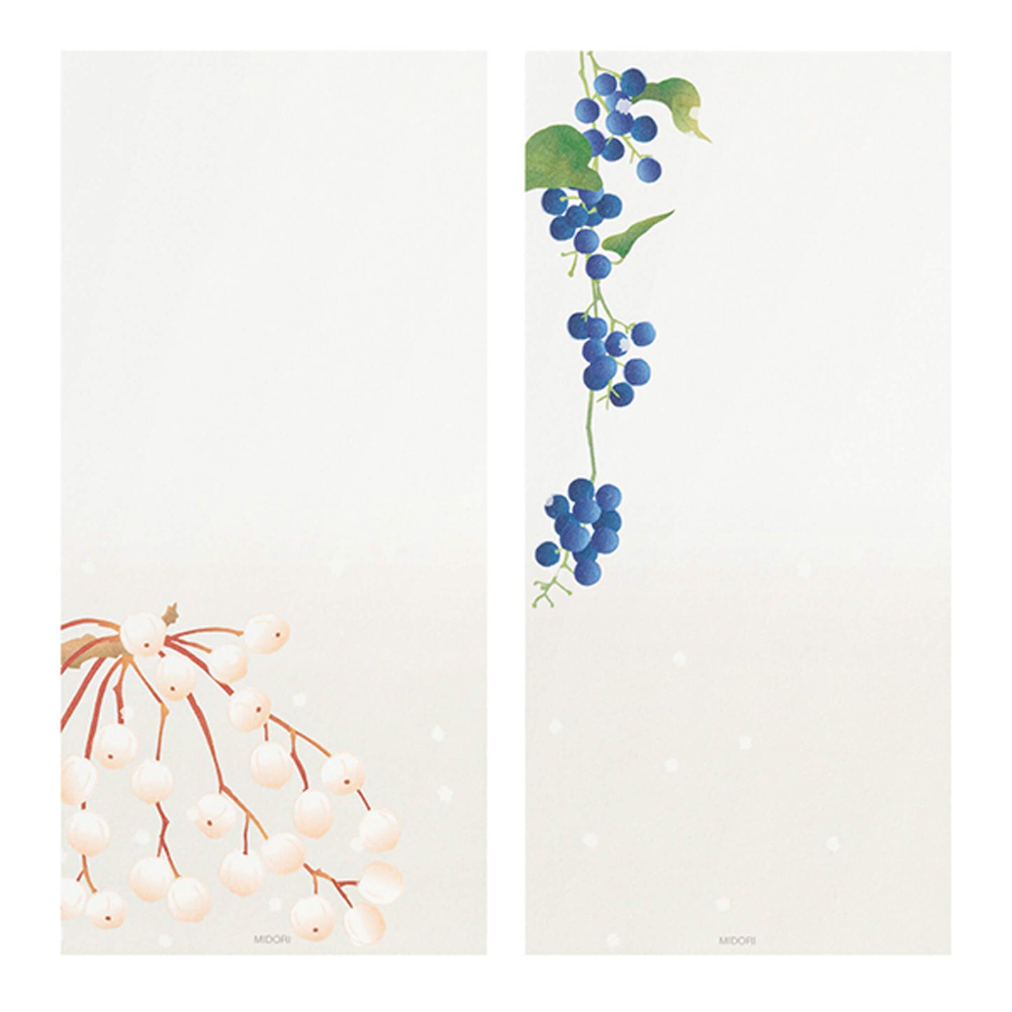 Midori Kami Series Ippitsusen - Winter Fruit [Brevblock]