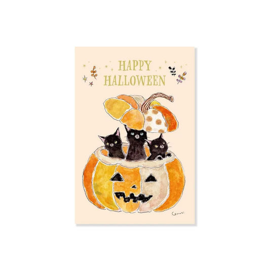 Active Corporation × Tocoro Comugi Halloween Postcard Black Cats in a Pumpkin - Postcards