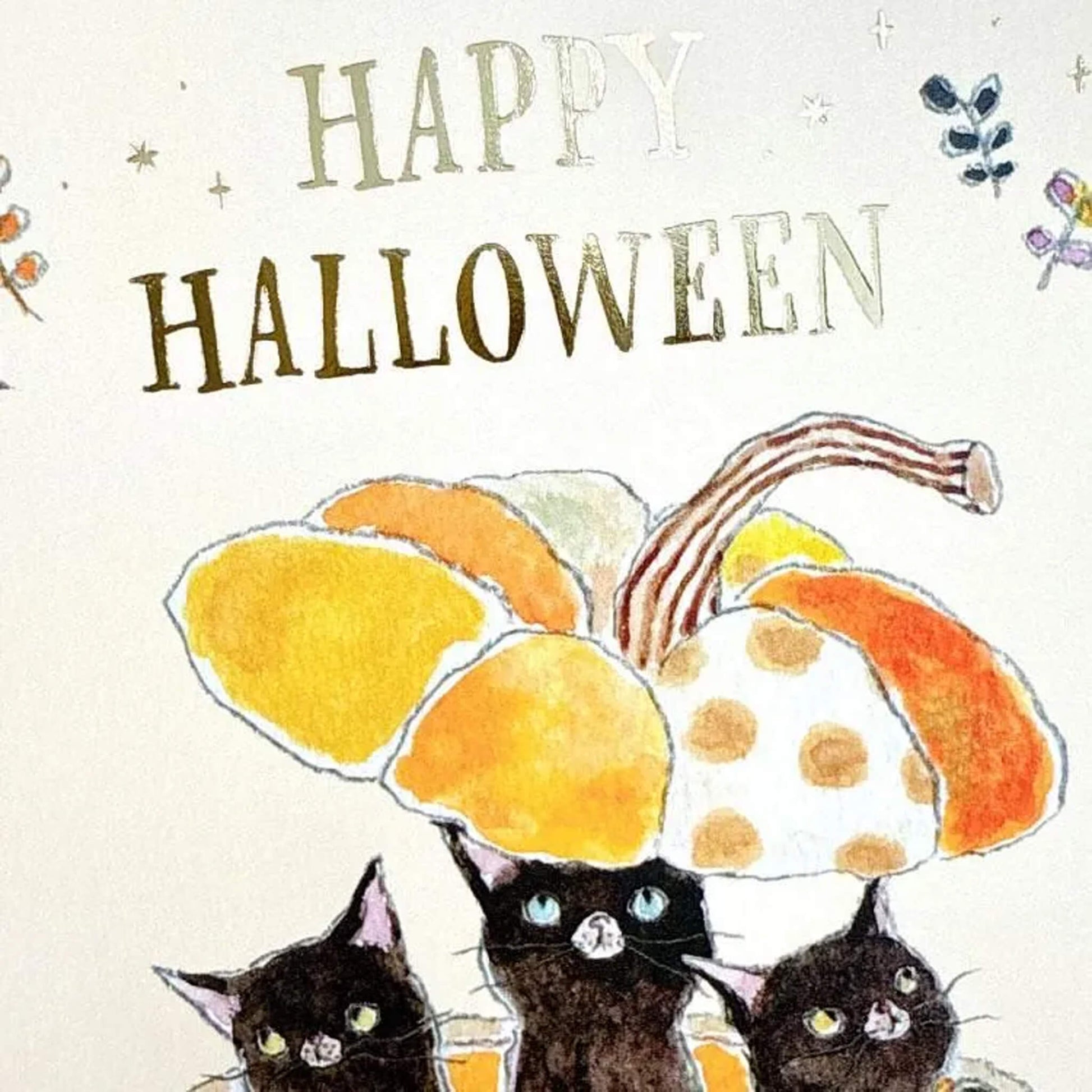 Active Corporation × Tocoro Comugi Halloween Postcard Black Cats in a Pumpkin - Postcards