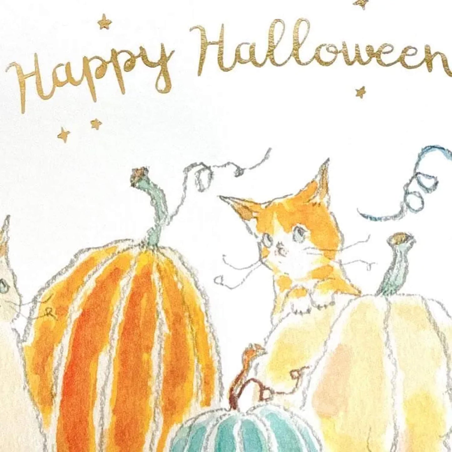 Active Corporation × Tocoro Comugi Halloween Postcard Pumpkin Patch - Postcards