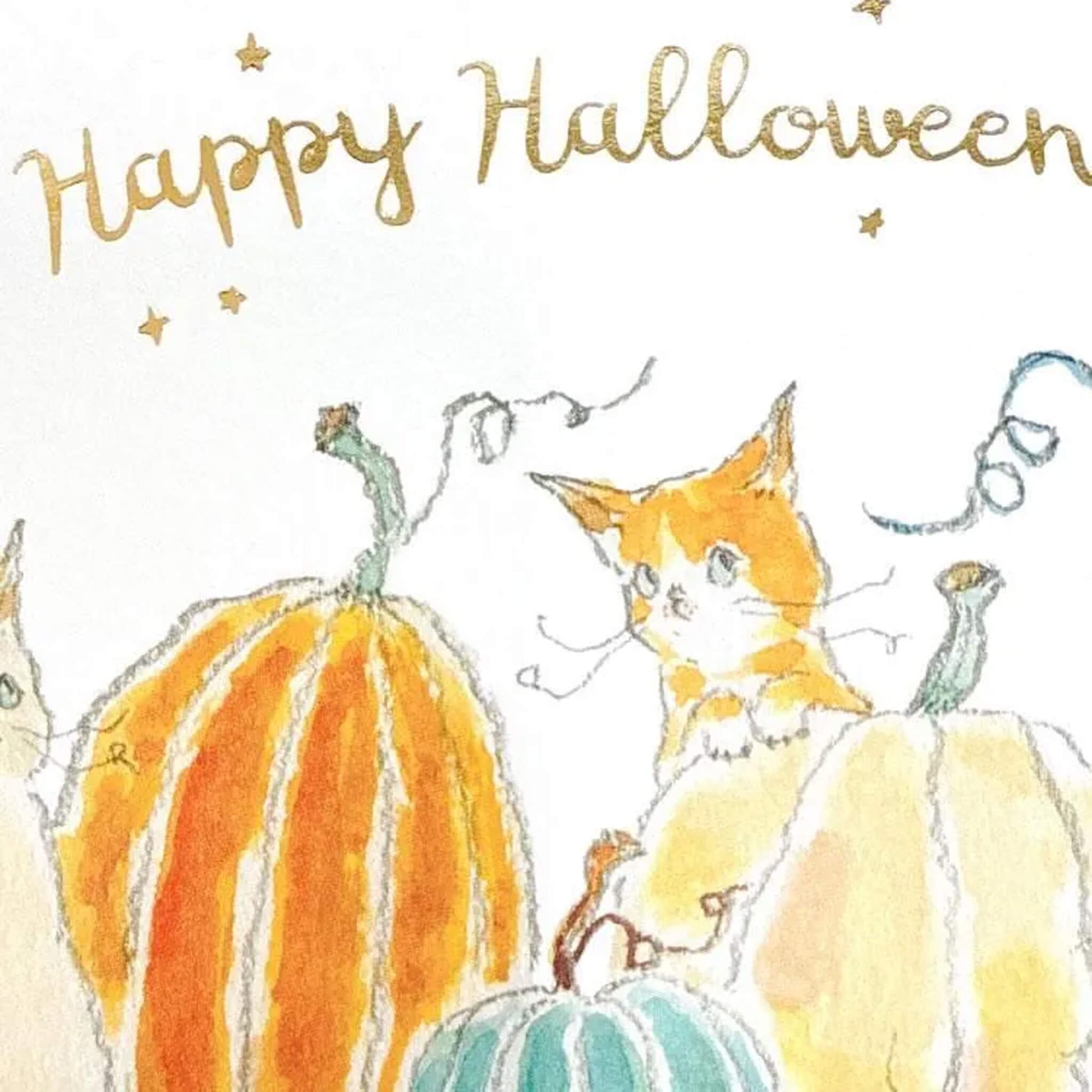 Active Corporation × Tocoro Comugi Halloween Postcard Pumpkin Patch - Postcards