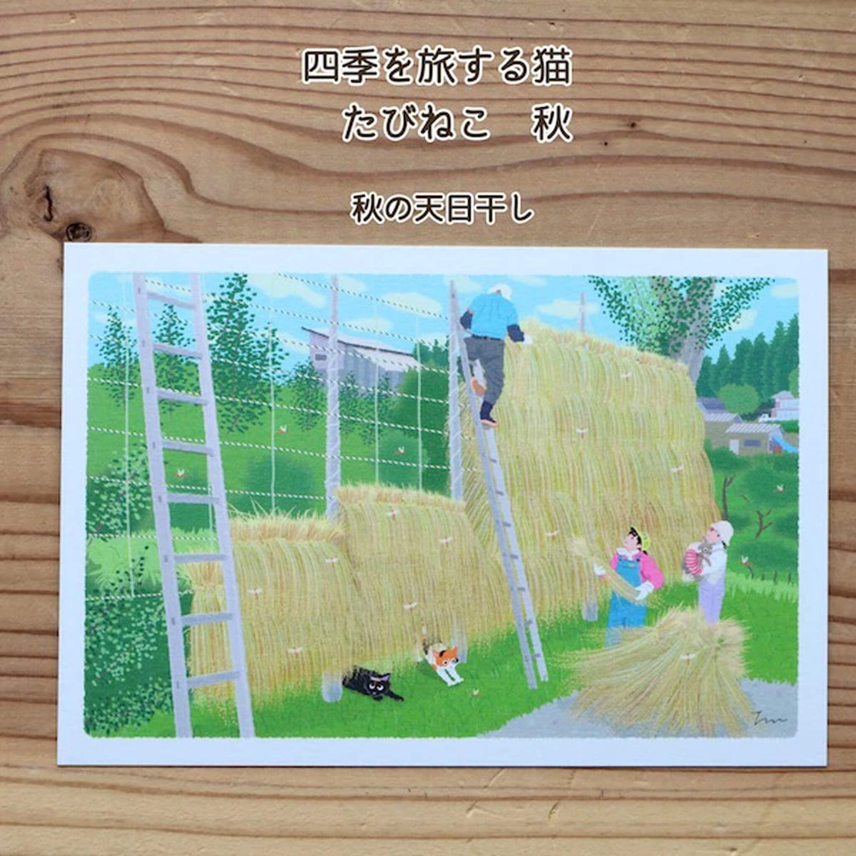 Active Corporation × Toshinori Mori Tabineko Autumn Postcard - Autumn Sun-Drying - Postcards