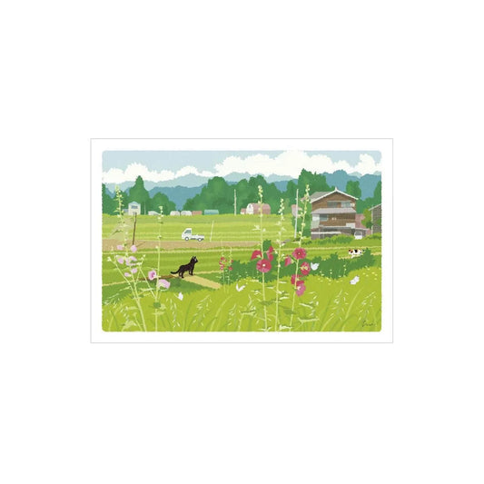 Active Corporation × Toshinori Mori Tabineko Summer Postcard - Early Summer Light - Postcards