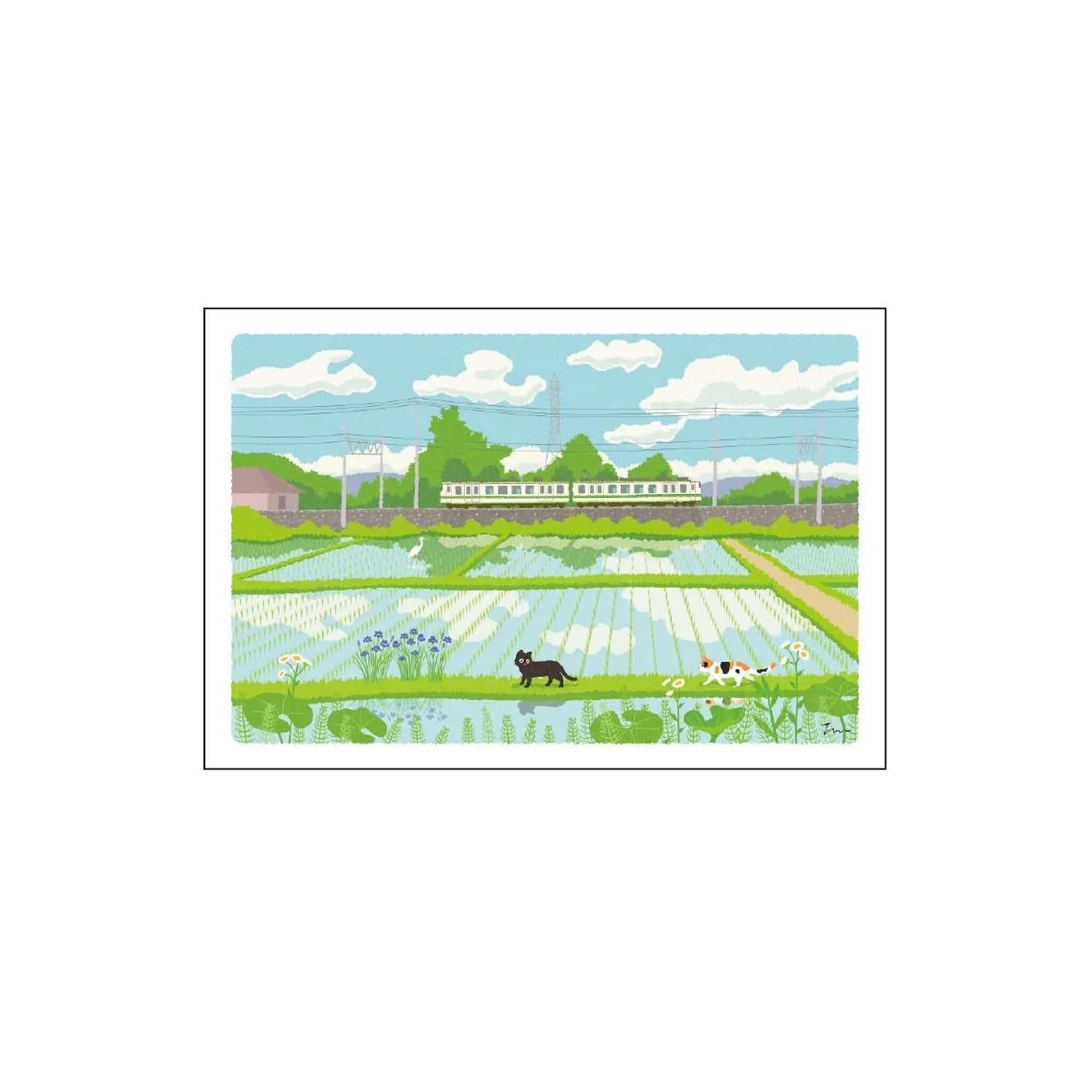 Active Corporation × Toshinori Mori Tabineko Summer Postcard - Rice Field - Postcards