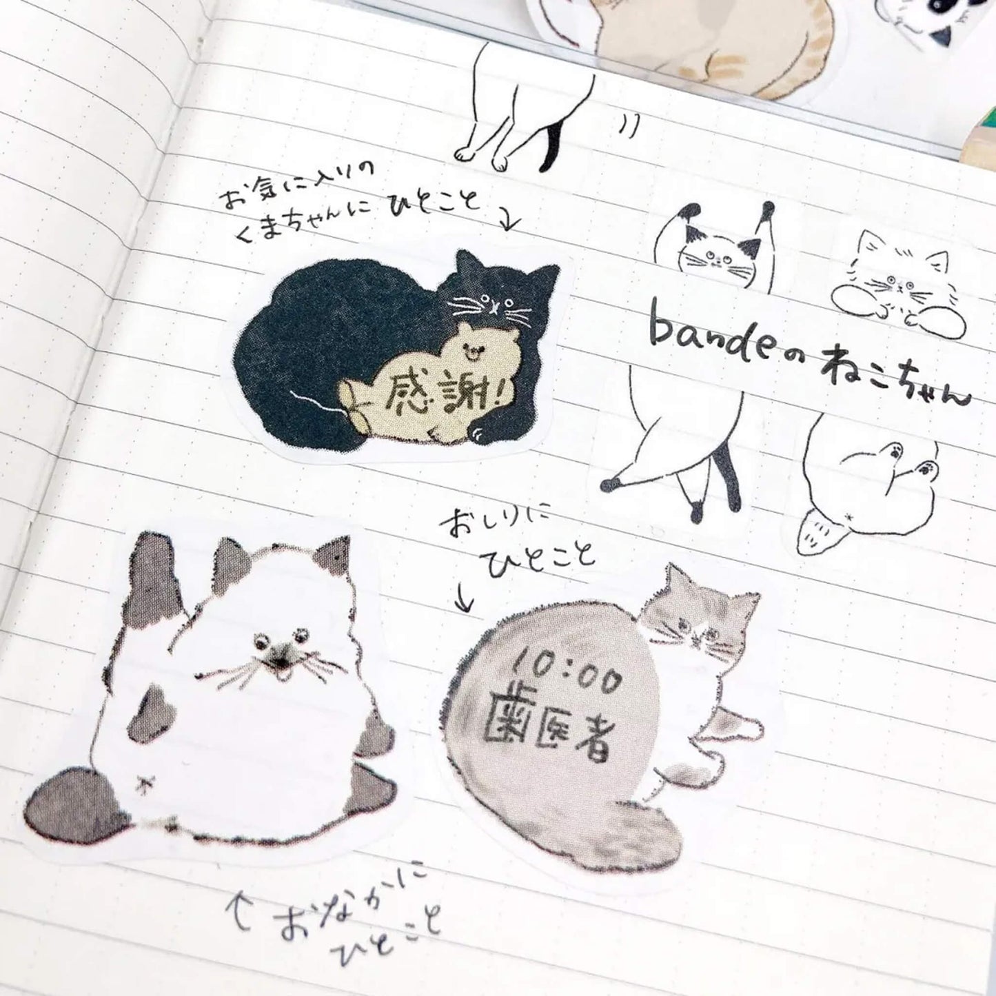 Bande Writable Sticker Roll - Fluffy Cat Memo - Roll Stickers