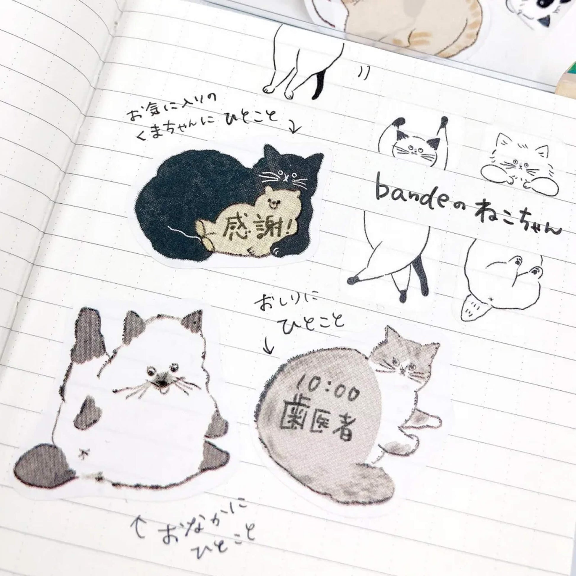 Bande Writable Sticker Roll - Fluffy Cat Memo - Roll Stickers