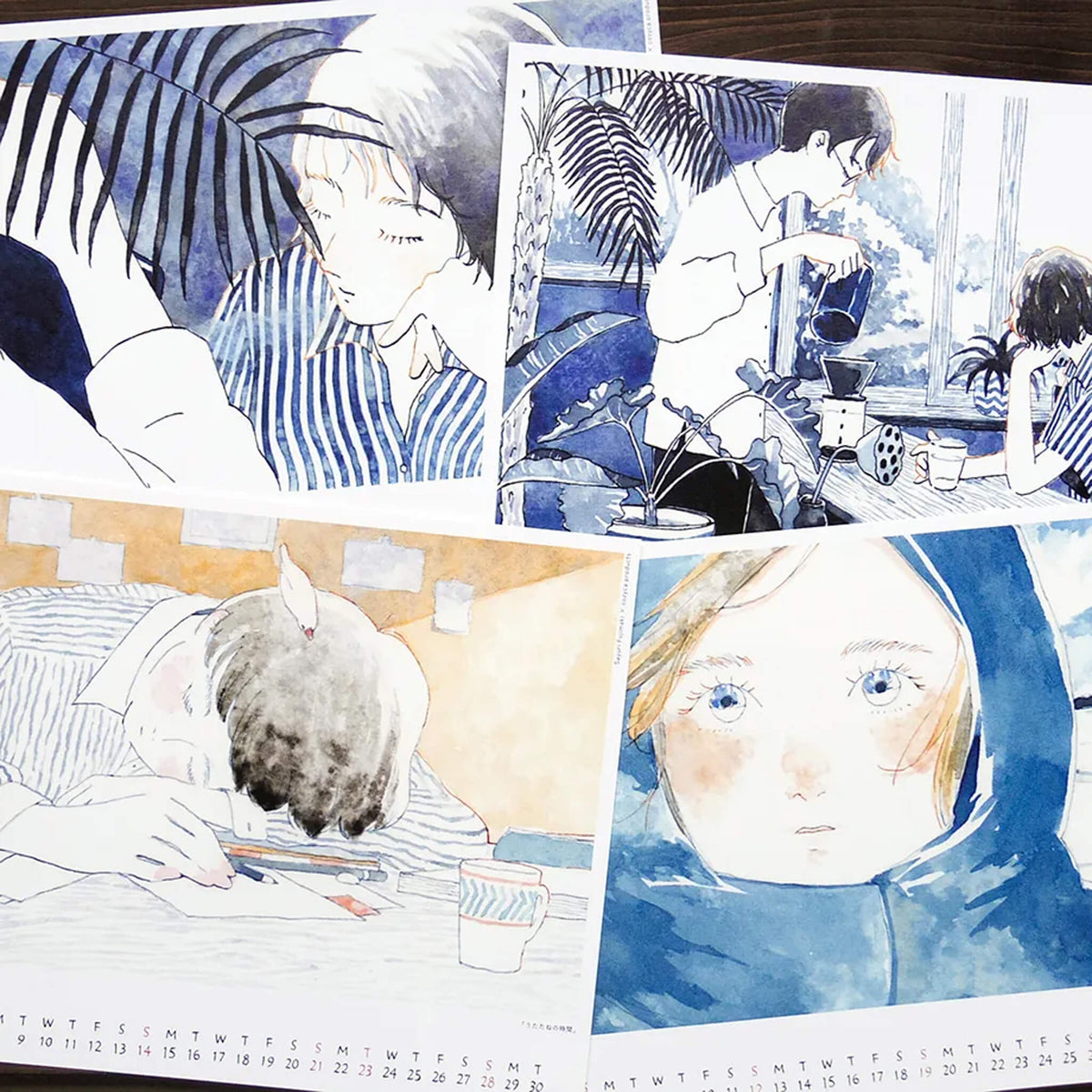Cozyca 2027 Calendar - Sayuri Fujimaki - 2027 Calendars