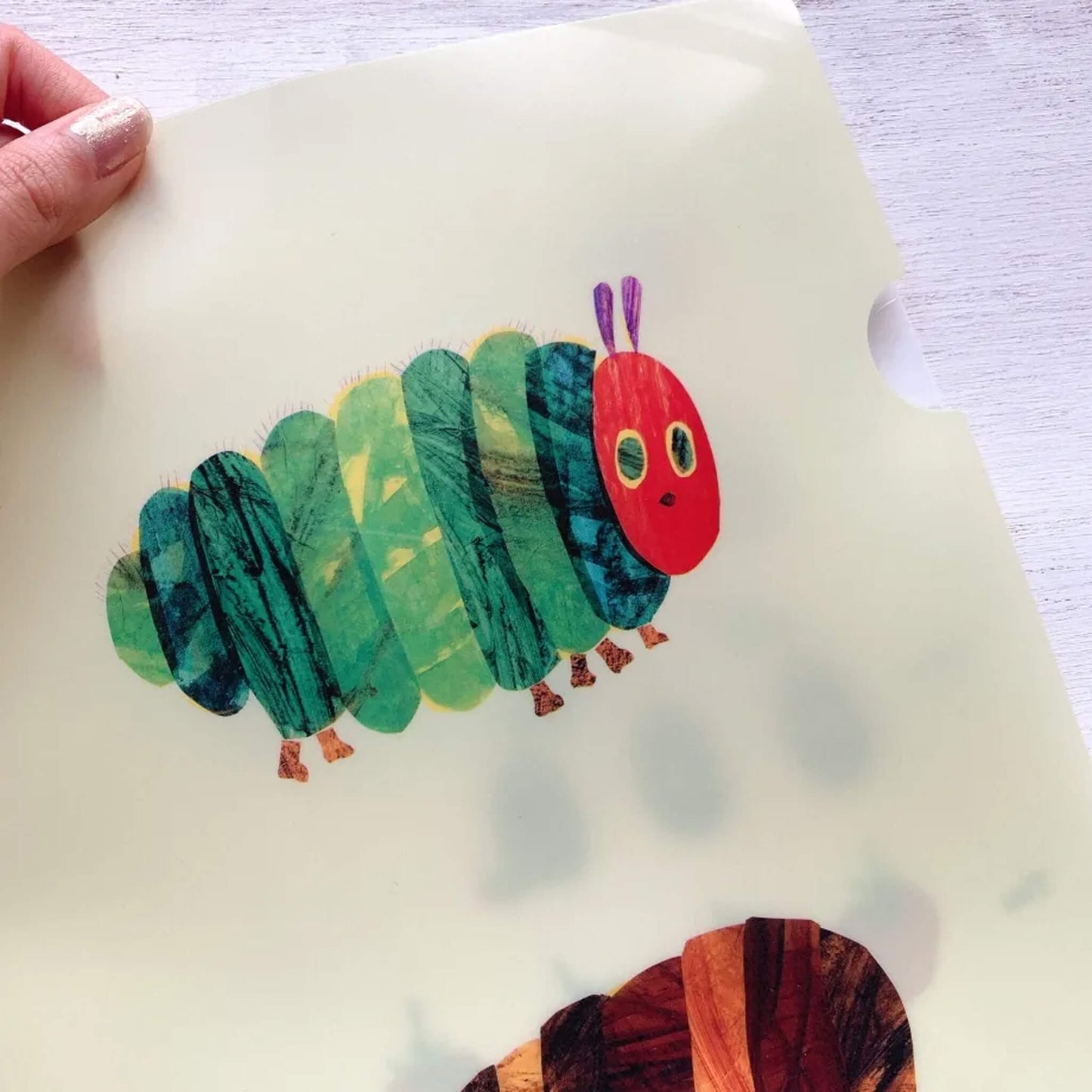 Cozyca A4 Clear File - The Very Hungry Caterpillar Chubby - File Folders