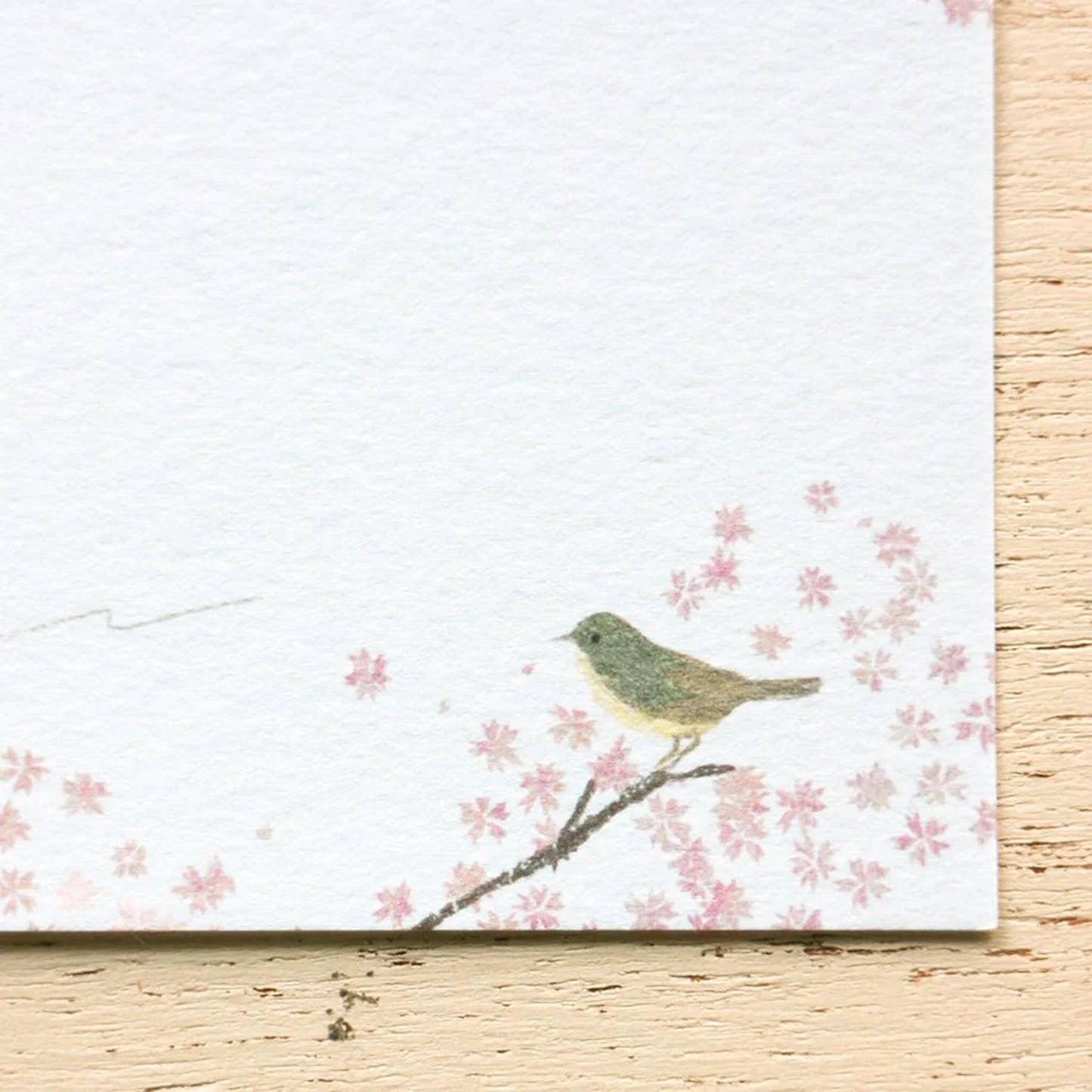 Cozyca Ippitsusen Letter Pad - Sakura - Ippitsusen