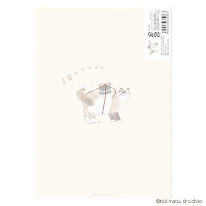 Fukukawa Shiko × Tobimatsu Shoichiro A5 Clear File Macaron - File Folders