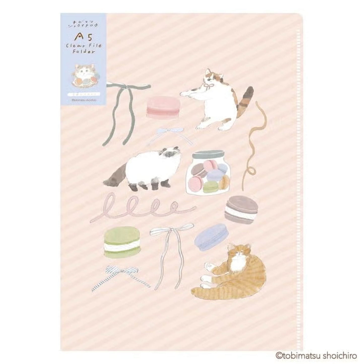 Fukukawa Shiko × Tobimatsu Shoichiro A5 Clear File Macaron - File Folders