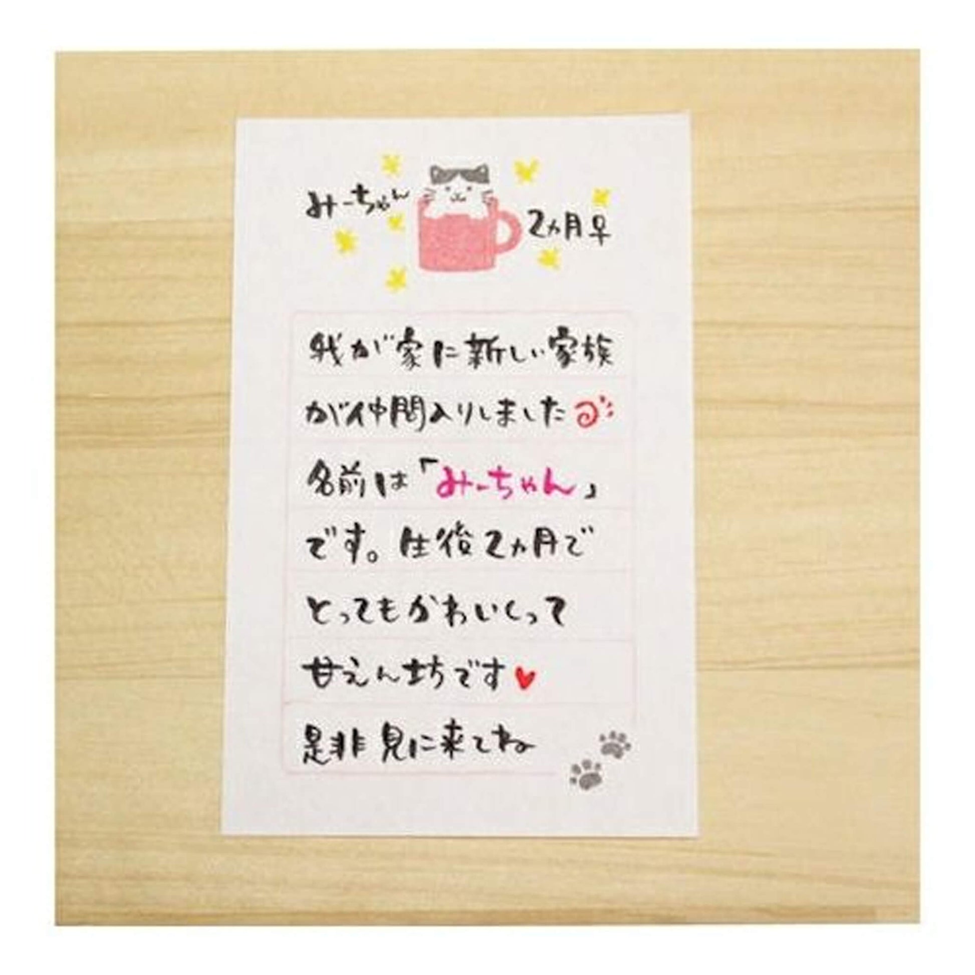 Furukawa Mino Washi Paper Mini Letter Set - Mug Cat - Mini Letter Writing Sets