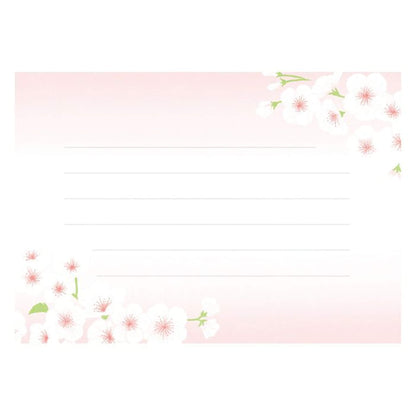 Furukawa Shiko Otegami Bijin Letter Set - Sakura White - Wa - Life Spring 2026 Limited - Letter Writing Sets