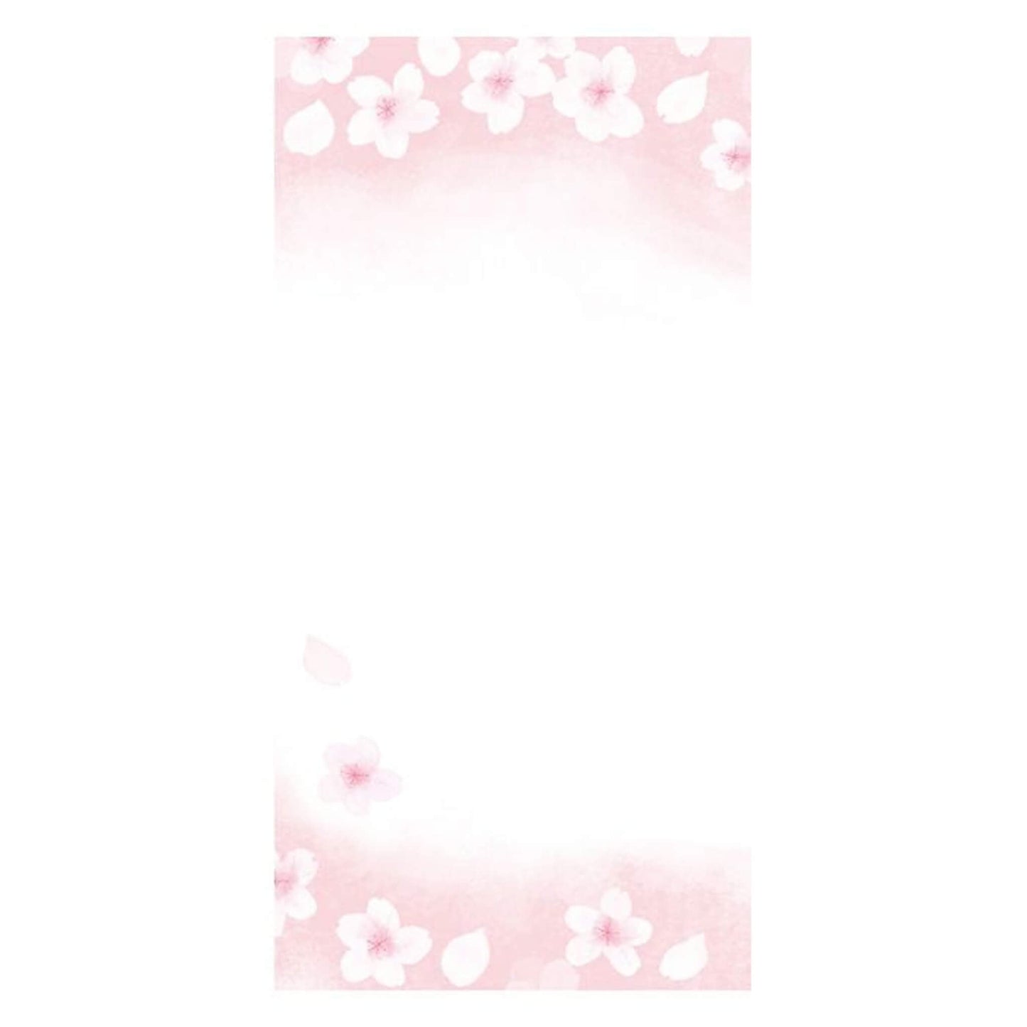 Furukawa Shiko “Today’s Letter” Letter Set - Breezy Sakura - Wa - Life Spring 2026 Limited - Letter Writing Sets