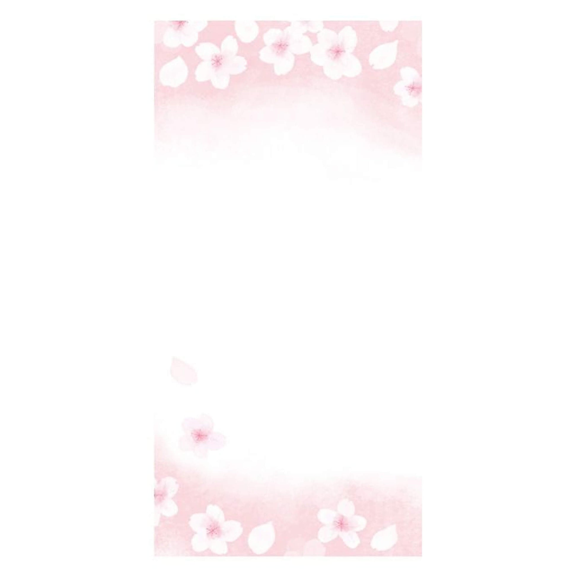 Furukawa Shiko “Today’s Letter” Letter Set - Breezy Sakura - Wa - Life Spring 2026 Limited - Letter Writing Sets