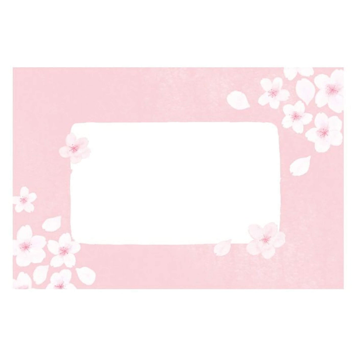 Furukawa Shiko “Today’s Letter” Letter Set (Large Size) - Breezy Sakura - Wa - Life Spring 2026 Limited - Letter Writing Sets
