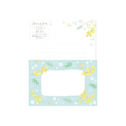 Furukawa Shiko “Today’s Letter” Letter Set (Large Size) - Mimosa & White Flower - Wa - Life Spring 2026 Limited - Letter Writing Sets