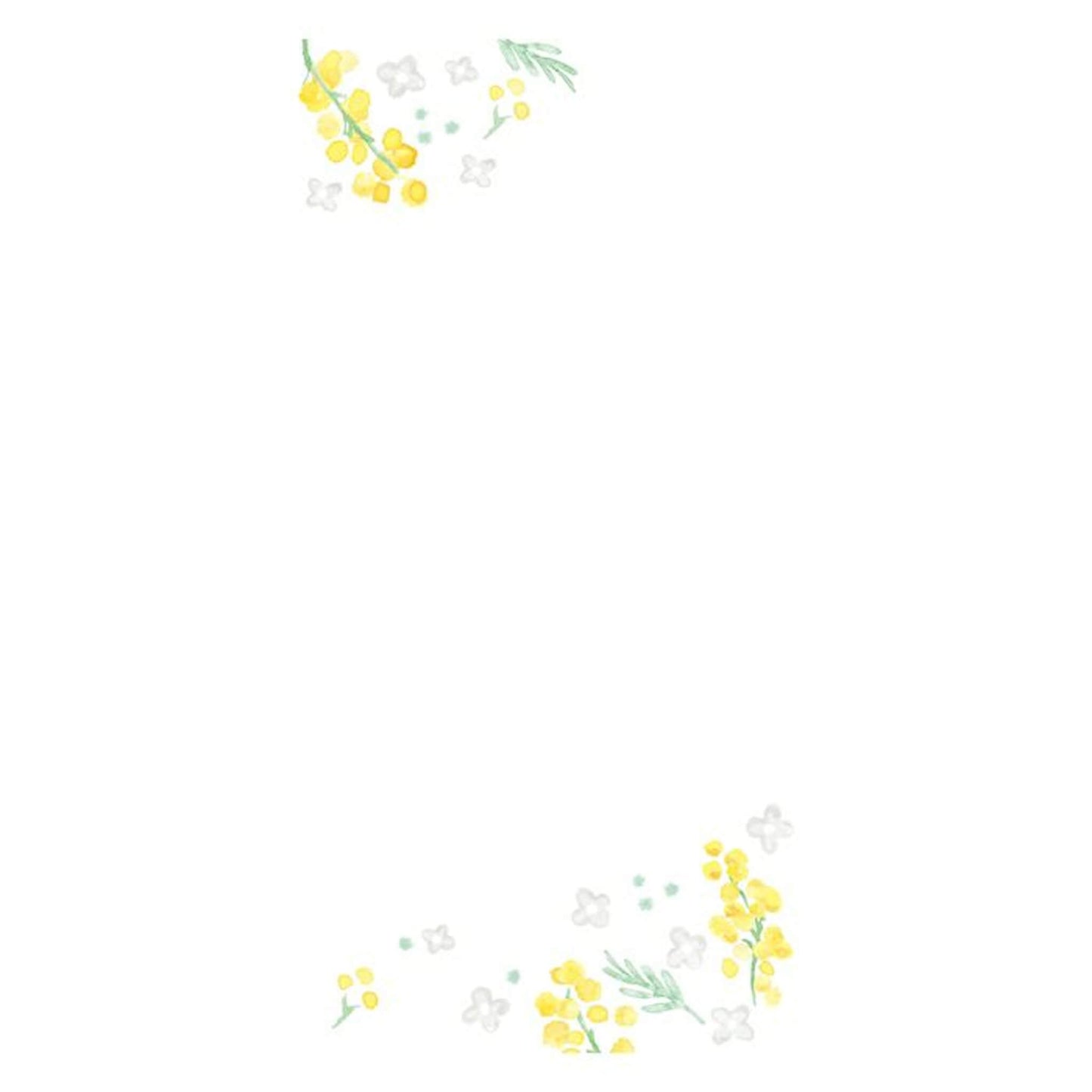 Furukawa Shiko “Today’s Letter” Letter Set - Mimosa & White Flower - Wa - Life Spring 2026 Limited - Letter Writing Sets