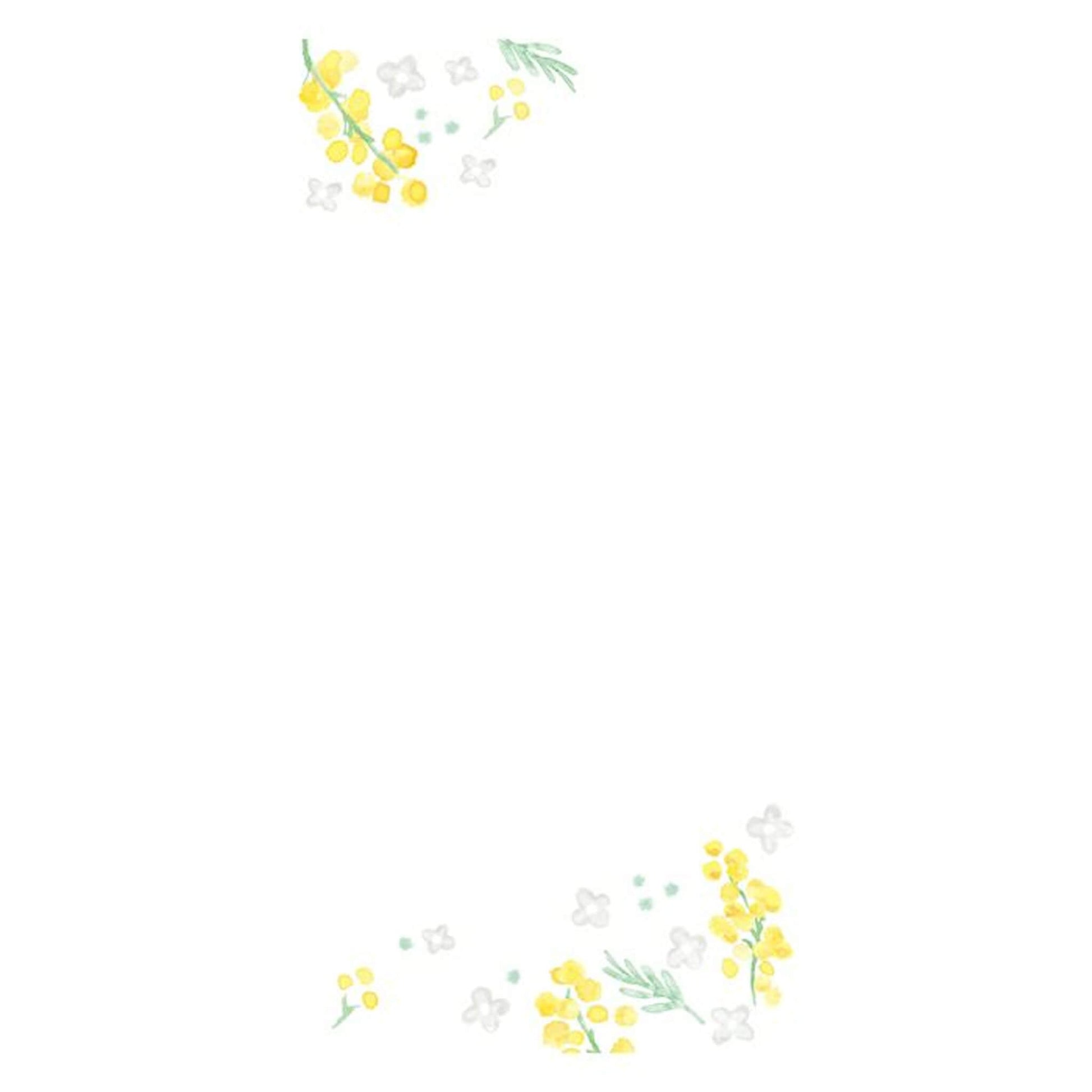 Furukawa Shiko “Today’s Letter” Letter Set - Mimosa & White Flower - Wa - Life Spring 2026 Limited - Letter Writing Sets