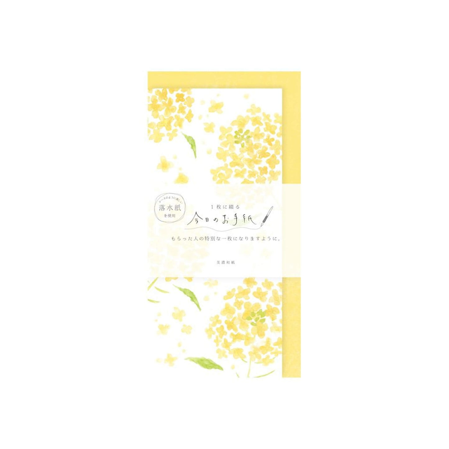 Furukawa Shiko “Today’s Letter” Letter Set - Nanohana - Wa - Life Spring 2026 Limited - Letter Writing Sets
