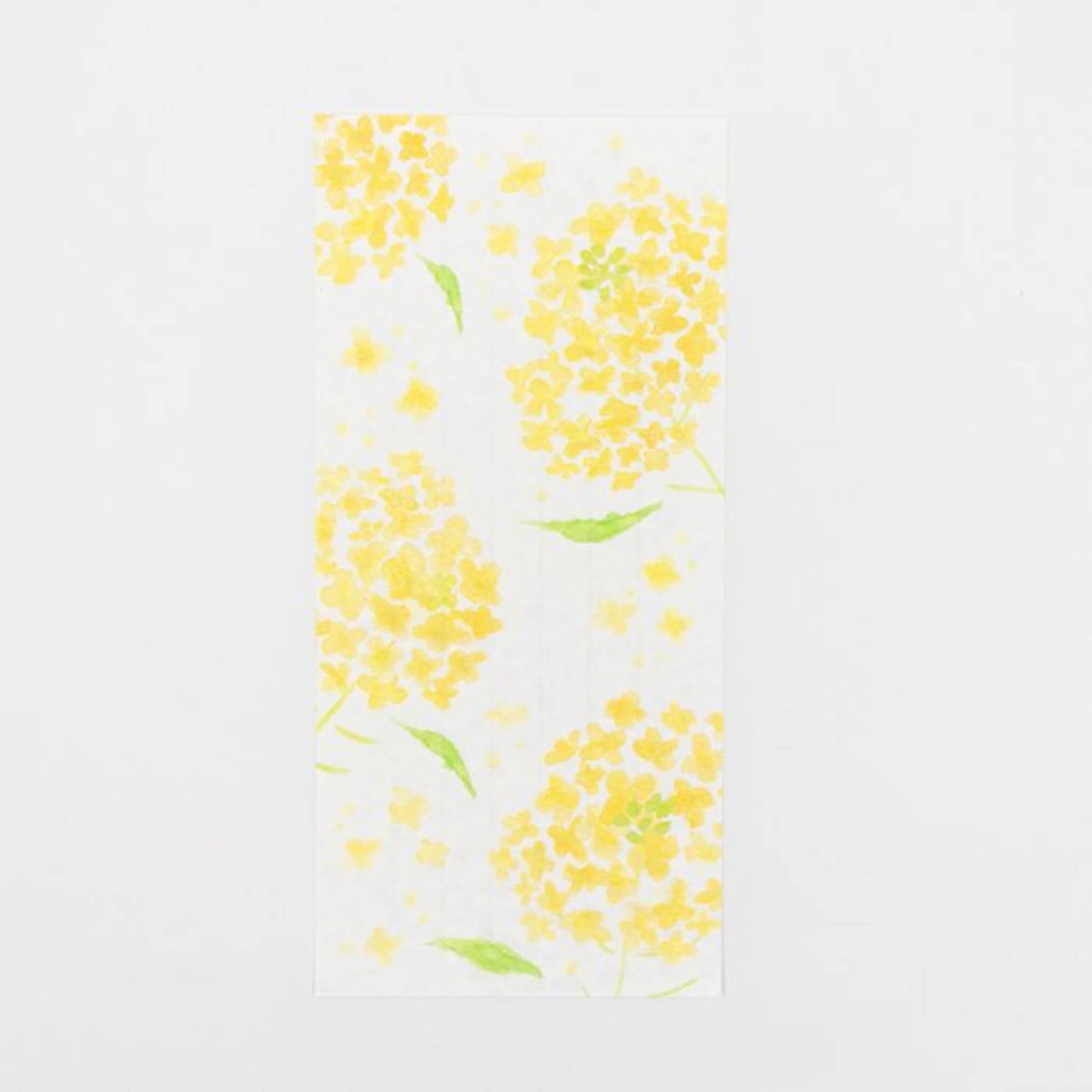 Furukawa Shiko “Today’s Letter” Letter Set - Nanohana - Wa - Life Spring 2026 Limited - Letter Writing Sets