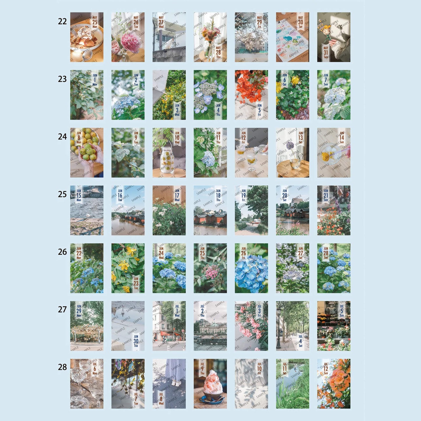 Himekuri 2026 Daily Sticky Calendar - Memory - 2026 Calendars