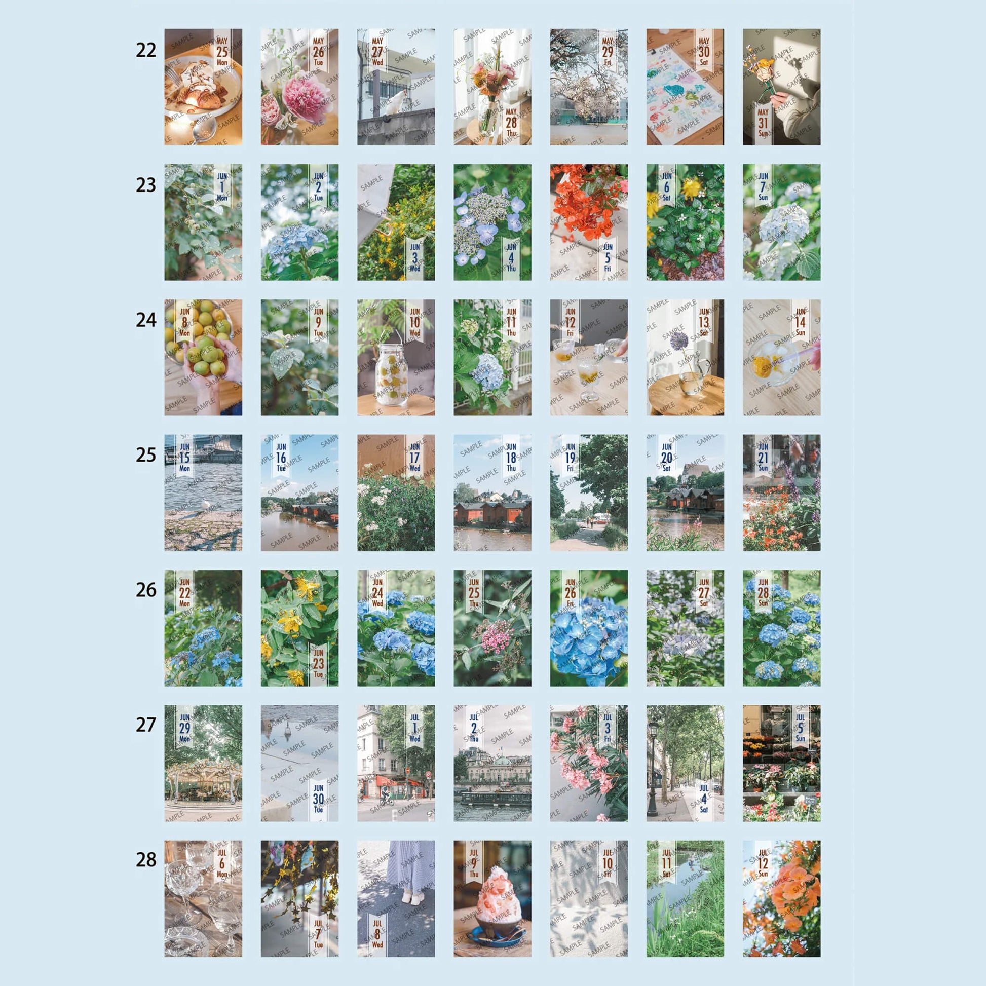 Himekuri 2026 Daily Sticky Calendar - Memory - 2026 Calendars