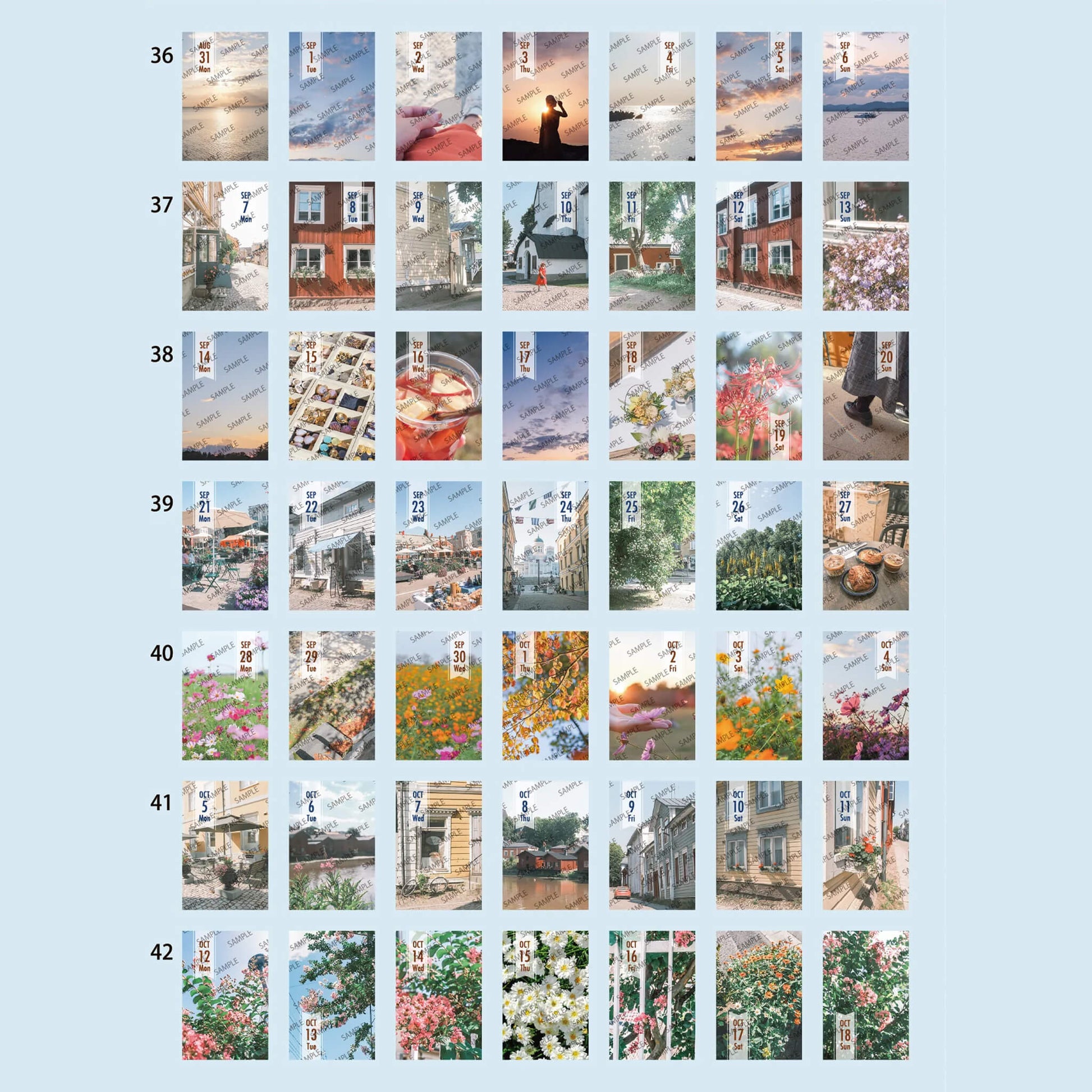 Himekuri 2026 Daily Sticky Calendar - Memory - 2026 Calendars