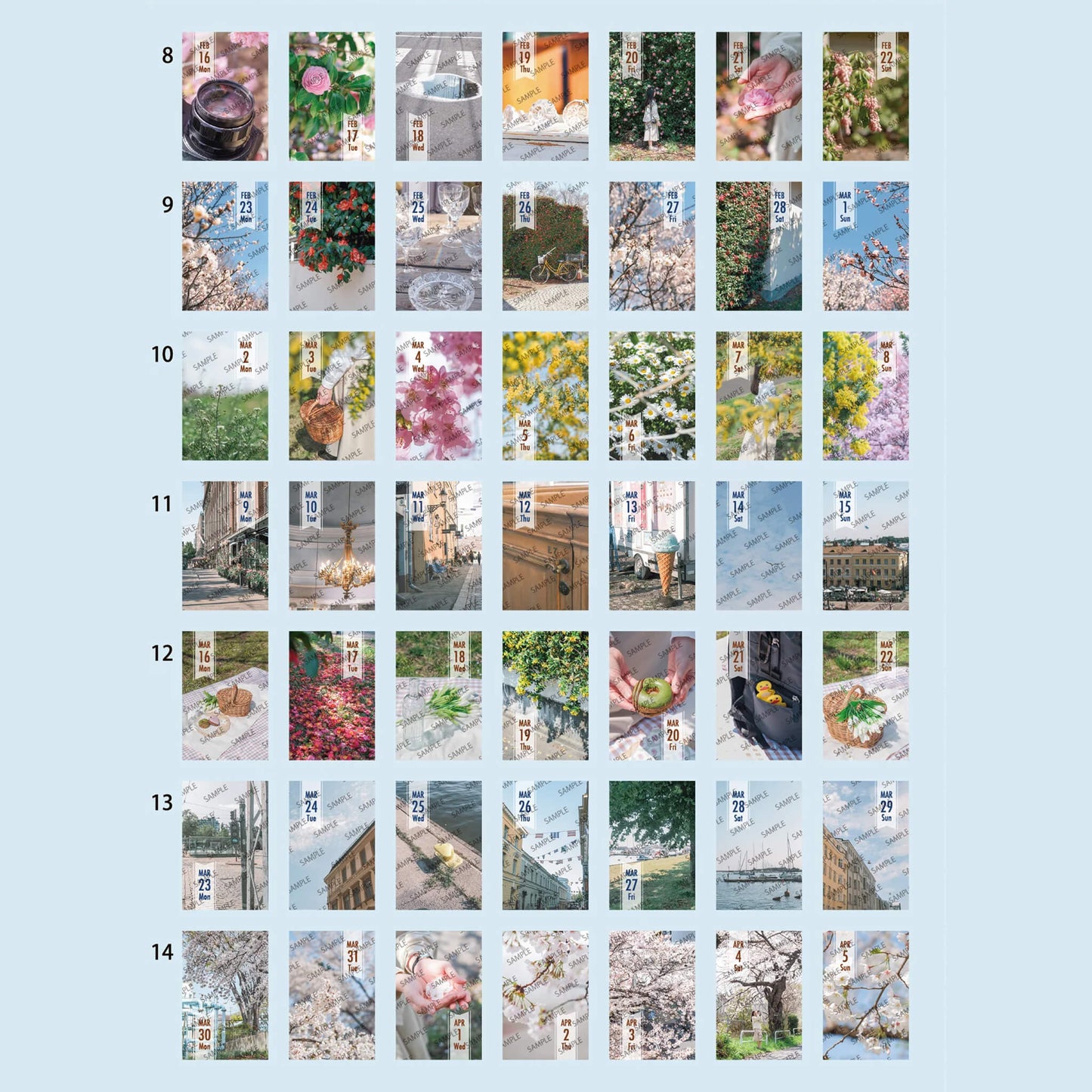 Himekuri 2026 Daily Sticky Calendar - Memory - 2026 Calendars