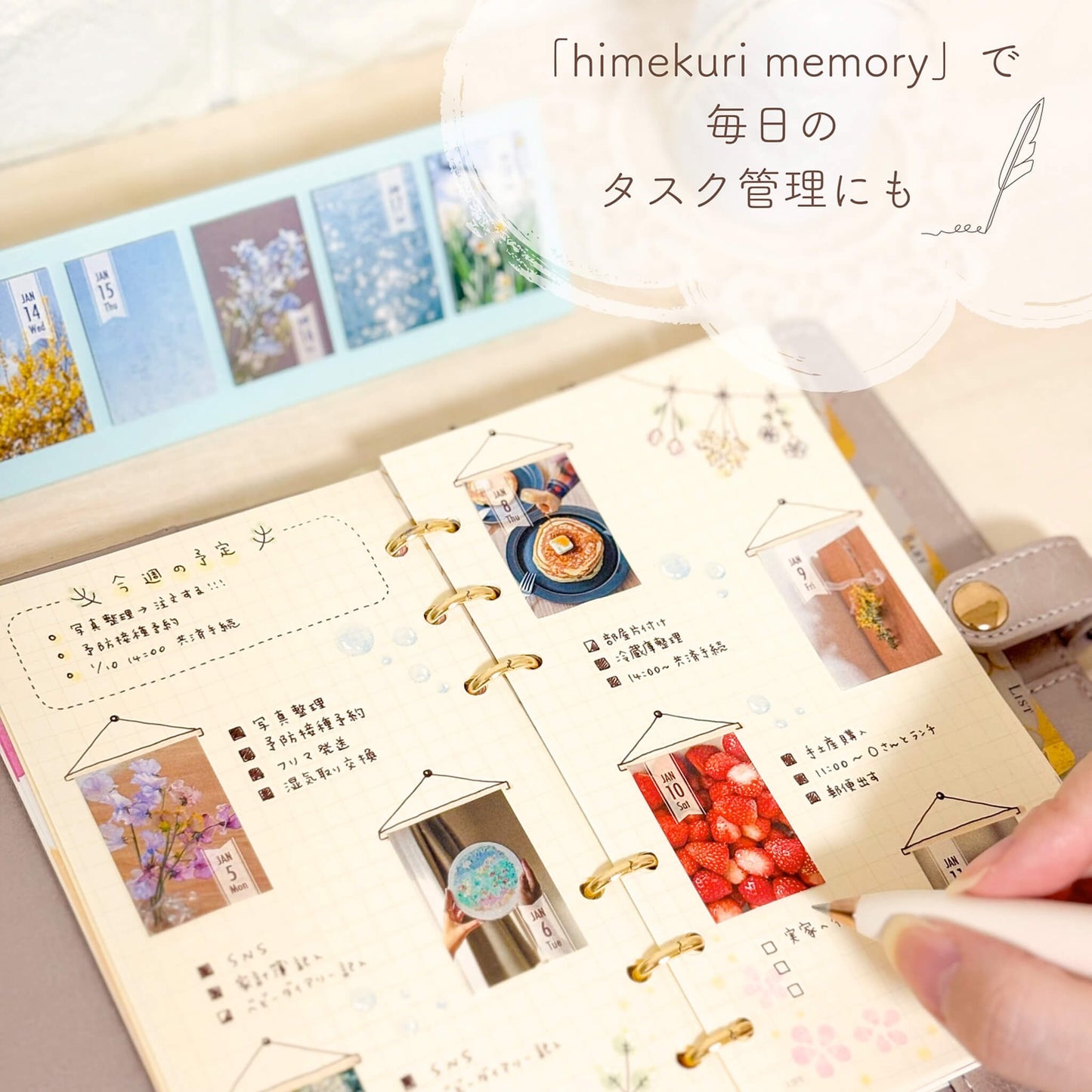 Himekuri 2026 Daily Sticky Calendar - Memory - 2026 Calendars